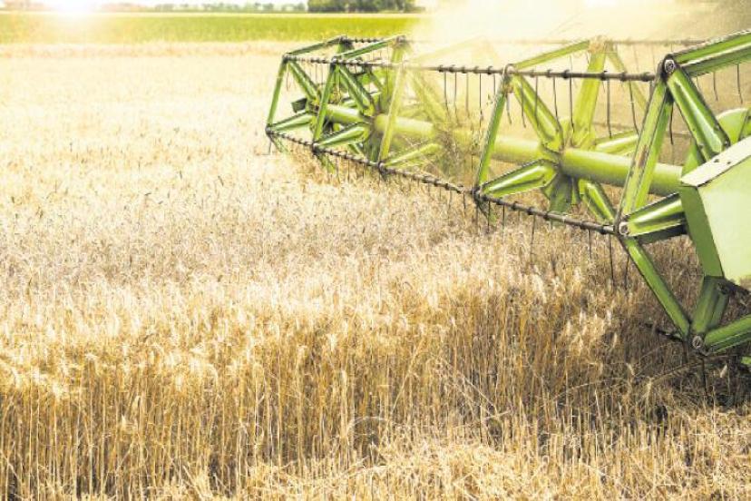 İklim krizi gıdayı tehdit ediyor